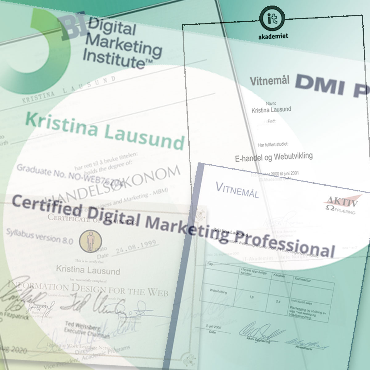 Rundt millenniumskiftet utvidet jeg utdanningen min innen Master of Business and Marketing med fag som webdesign, webutvikling og "Information Design for the Web".